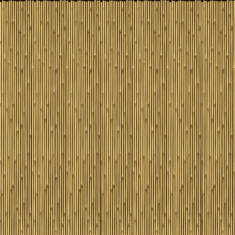 bamboo_1.png